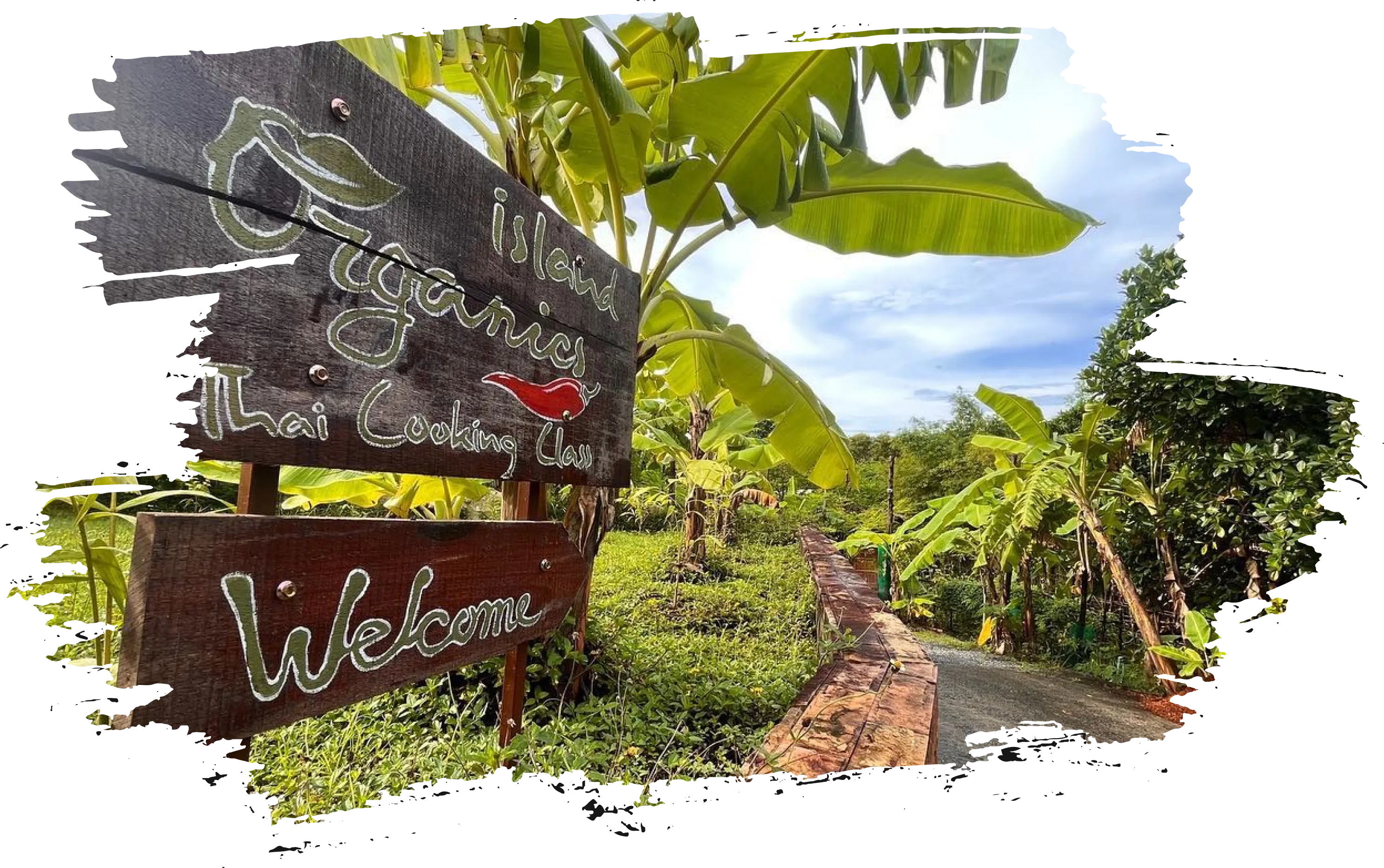 Organic Farm Cooking Samui