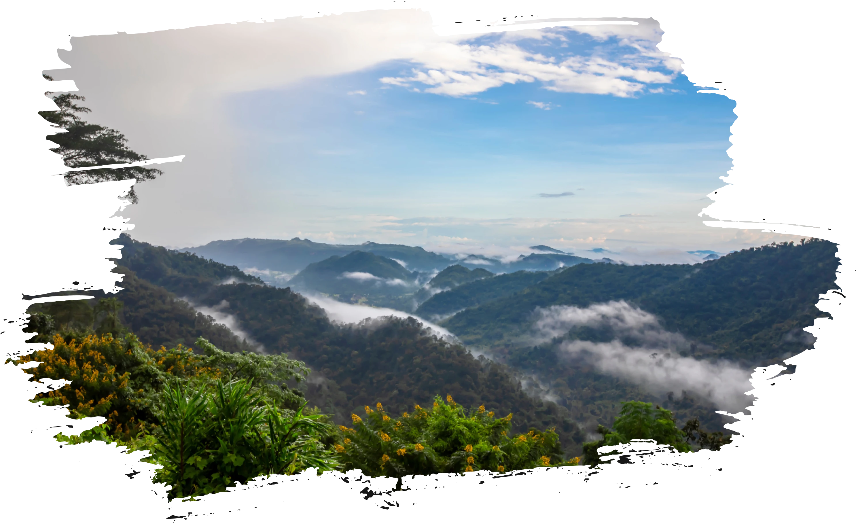 Khao Yai National Park