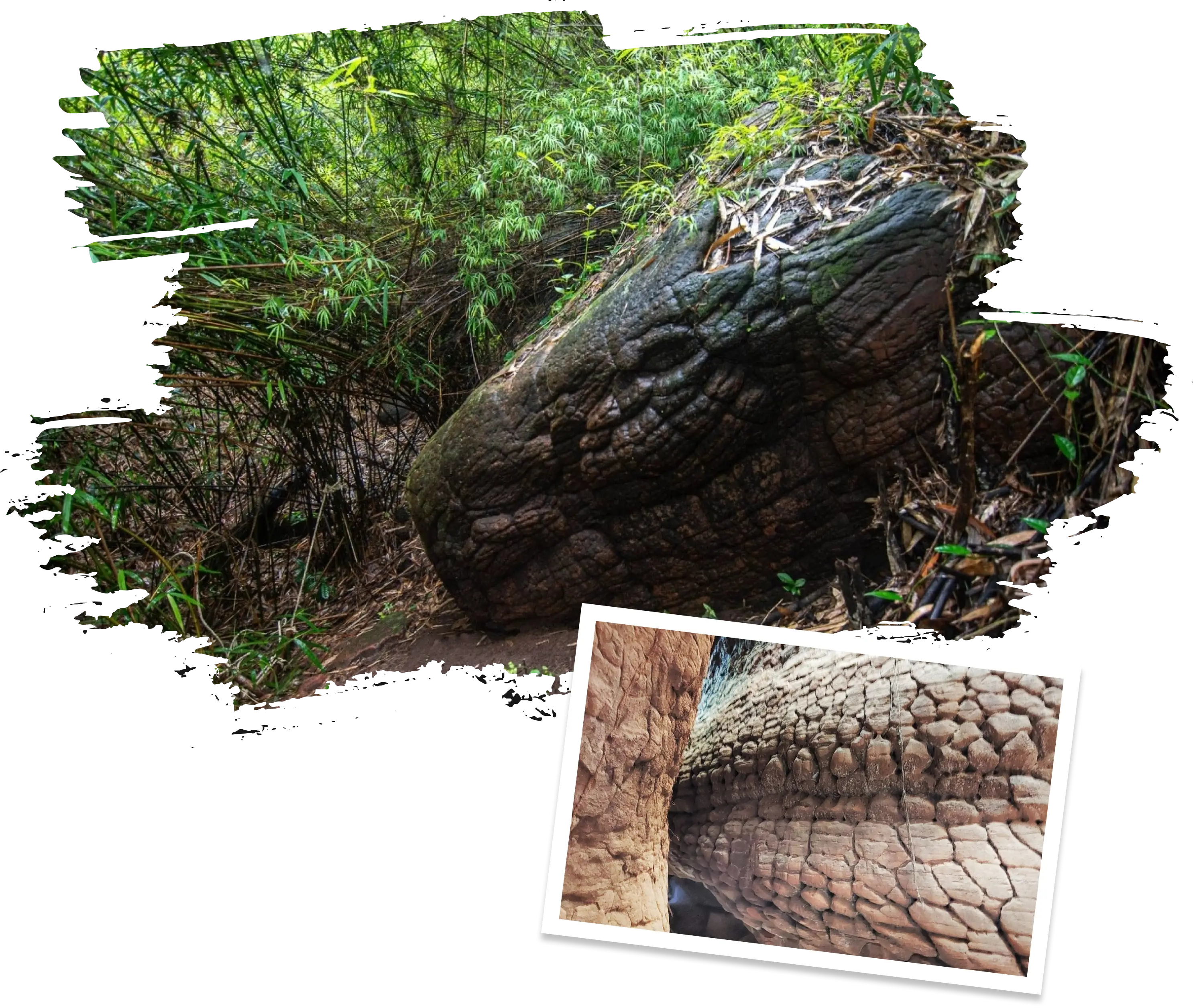 The Naga Cave