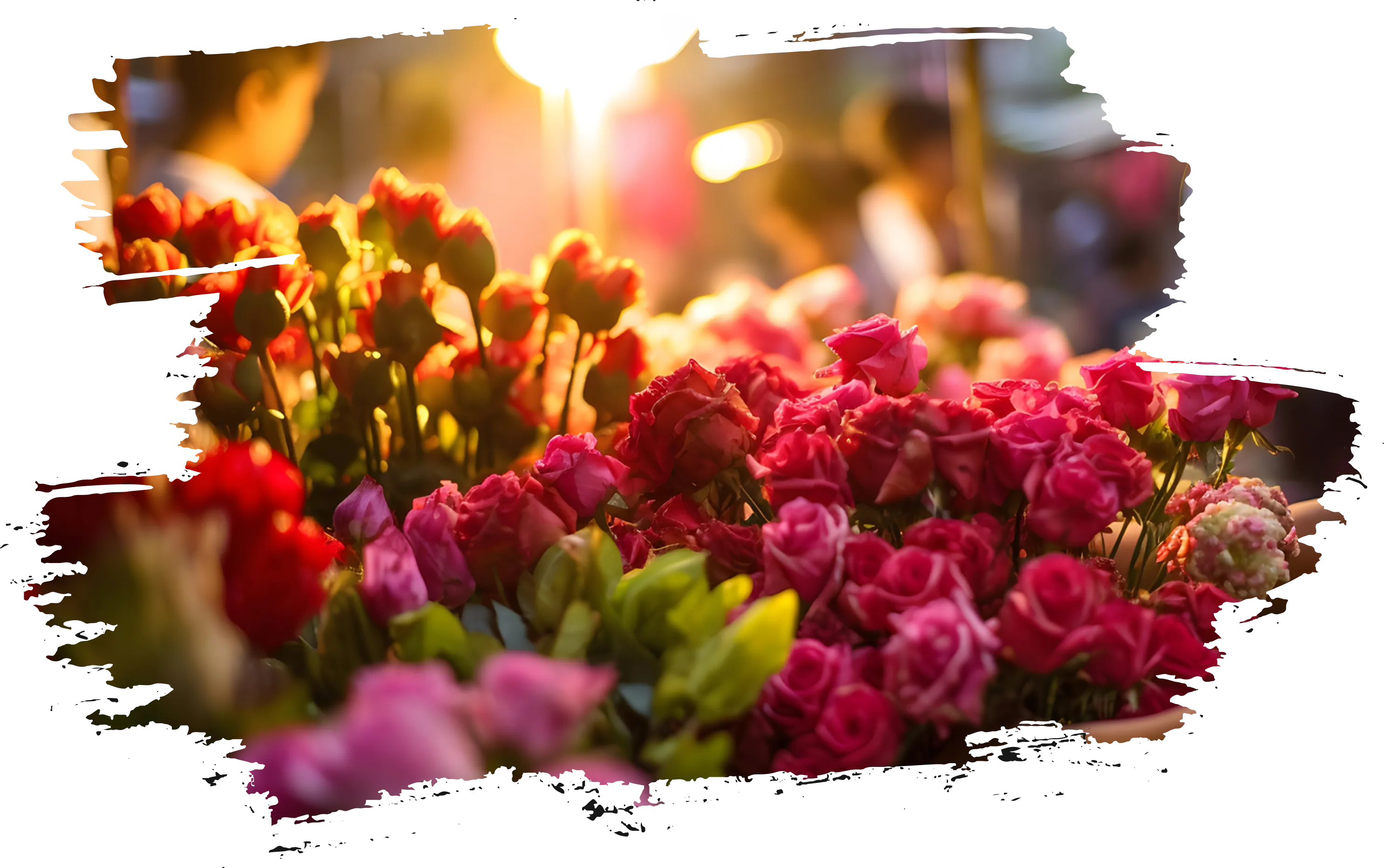Bangkok Flower Market